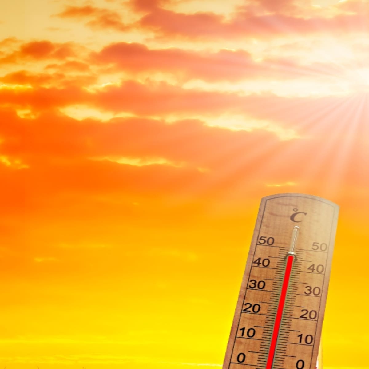 ¿Qué tan fuerte será El Niño? IDEAM advierte un 81% de probabilidad y podría durar hasta 2027