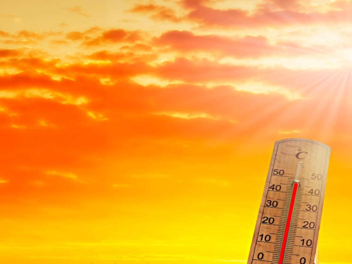 ¿Qué tan fuerte será El Niño? IDEAM advierte un 81% de probabilidad y podría durar hasta 2027