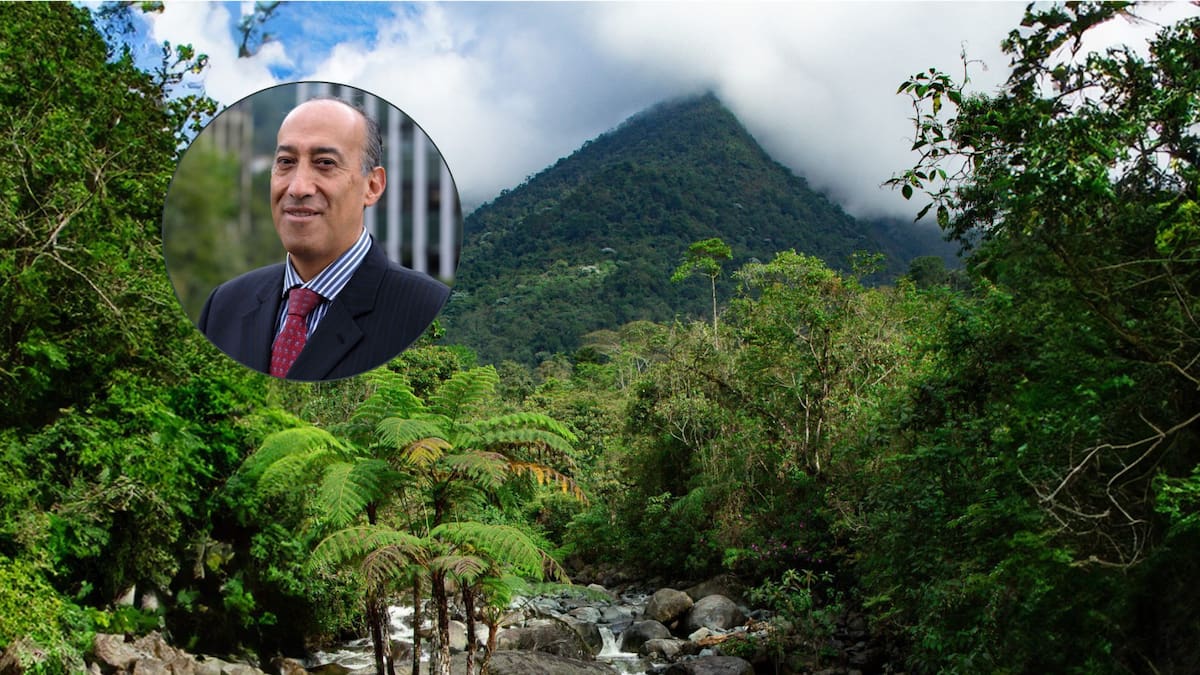 Deforestación se redujo en gobierno Petro: director de Parques Naturales sobre informe de empalme