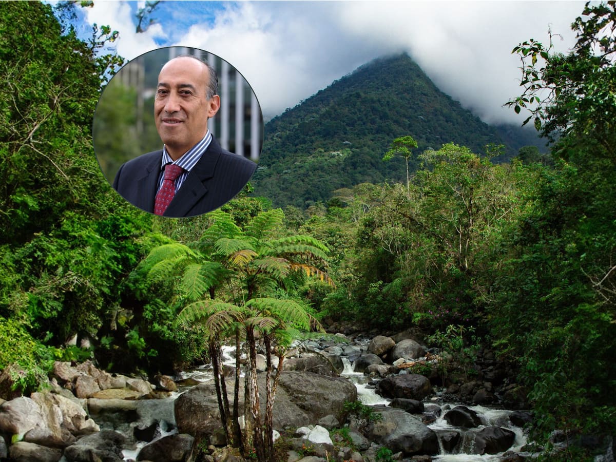 Deforestación se redujo en gobierno Petro: director de Parques Naturales sobre informe de empalme
