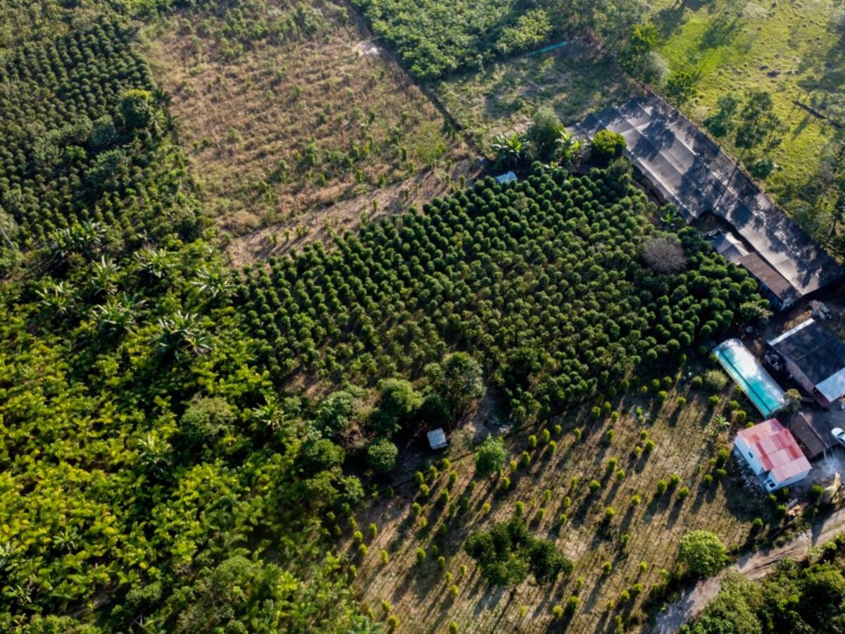 ¿Cómo se vive el Paro Nacional en el Campo?
