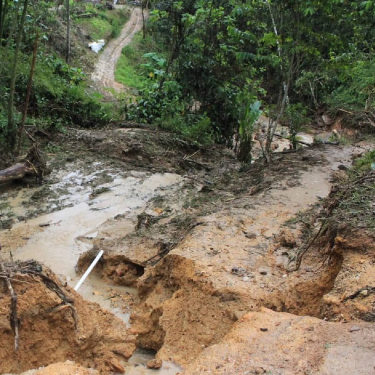 Incomunicadas 25 veredas de la zona rural de Tello-Huila