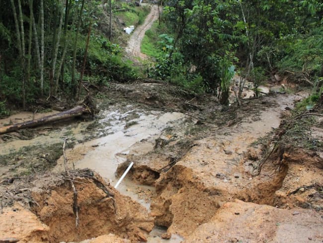 Incomunicadas 25 veredas de la zona rural de Tello-Huila