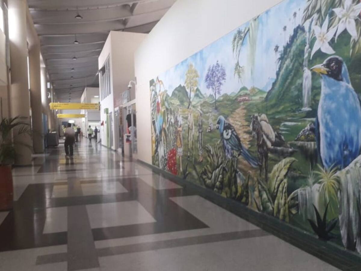 Anato gestiona reapertura del aeropuerto el Edén de Armenia