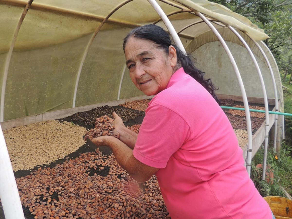 Día del campesino, mujeres cafeteras del Quindío buscan rescatar conocimientos ancestrales