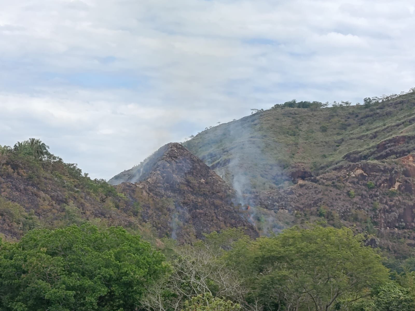 Incendio Forestal en el Tolima