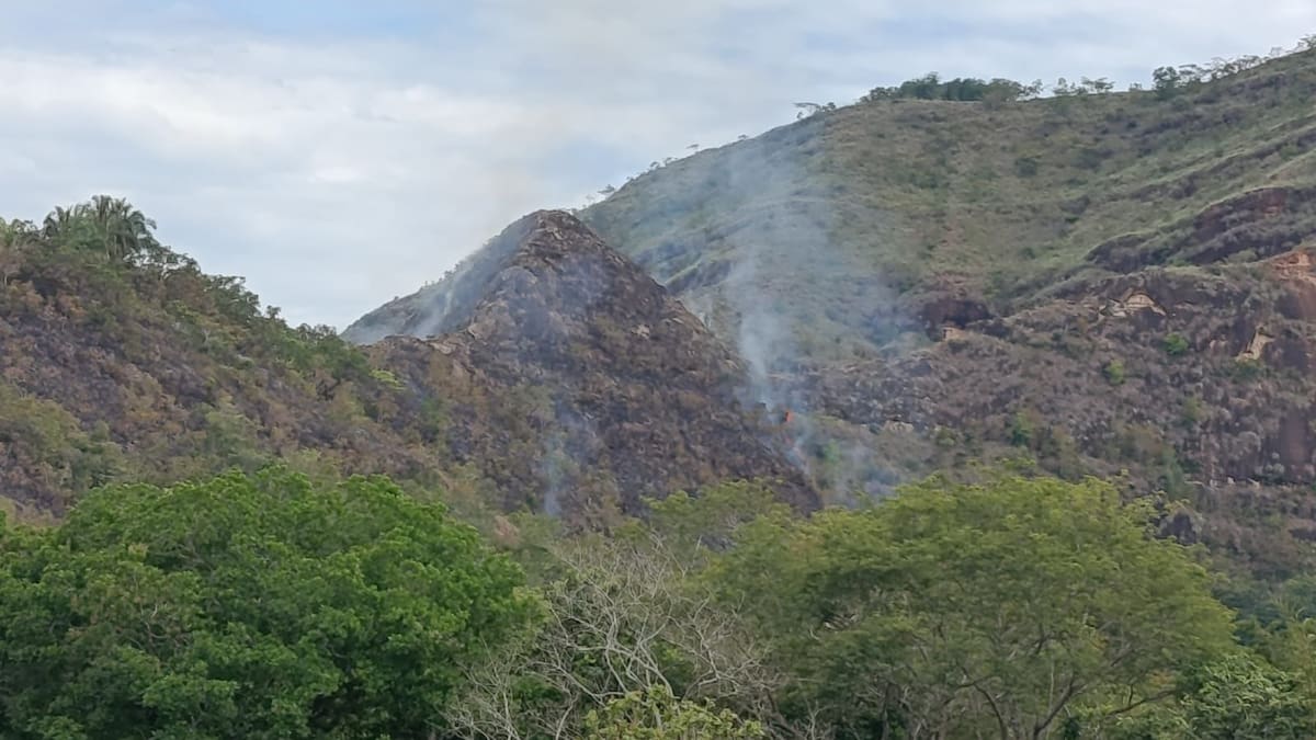 Incendios forestales comienzan a generar preocupación en el Tolima