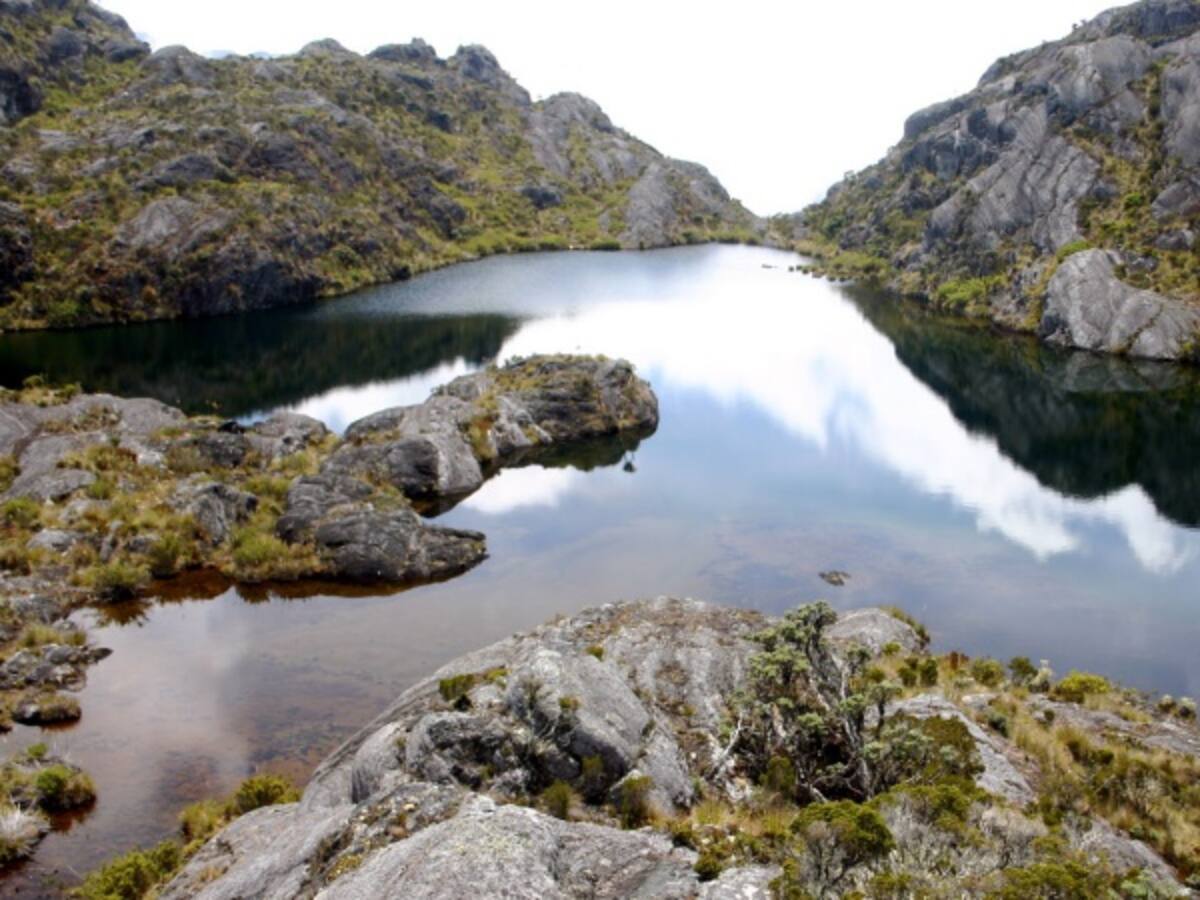 MinAmbiente tiene un año para delimitar nuevamente el Páramo de Santurbán