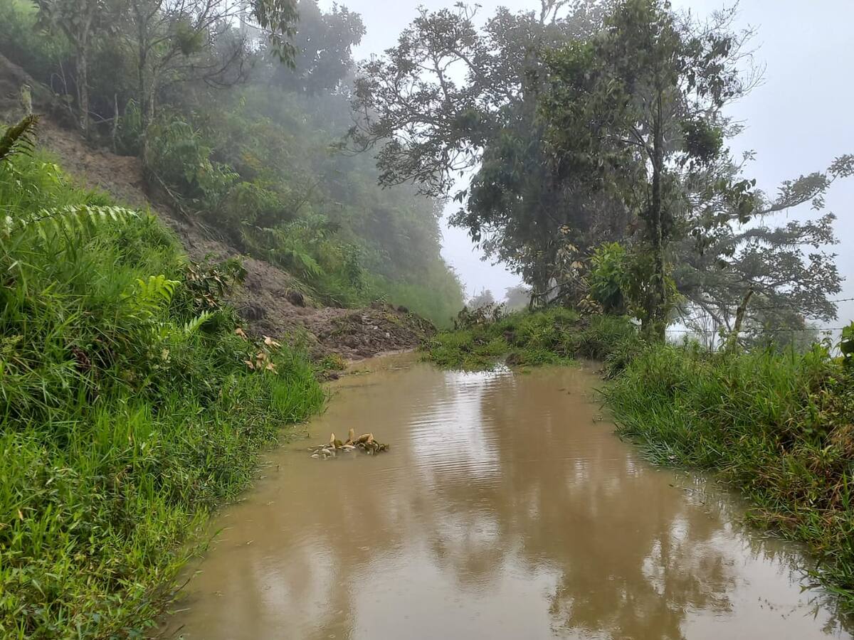 Emergencia en La Victoria: vendaval y derrumbes dejan al municipio completamente incomunicado