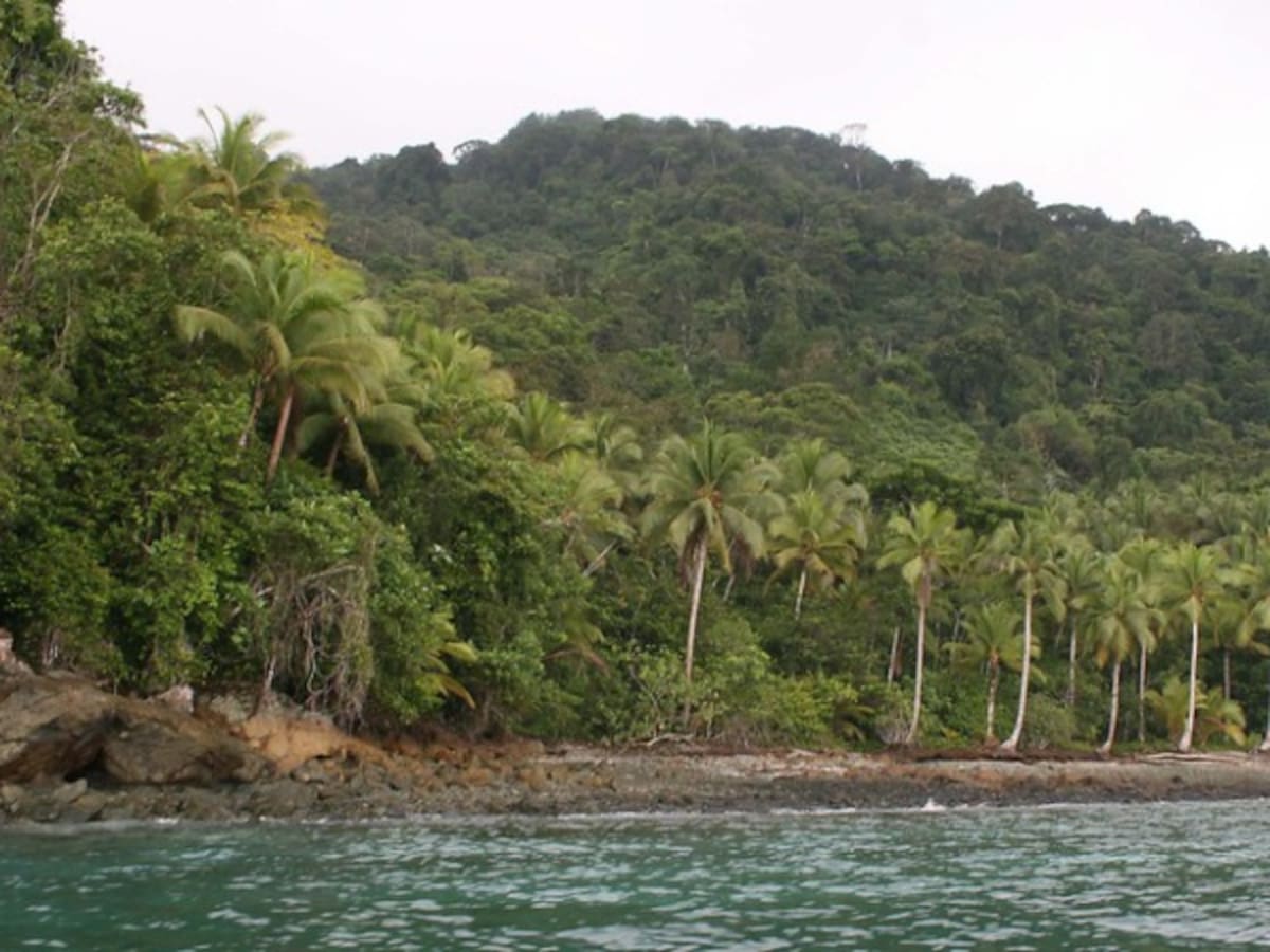 El Parque Natural Nacional Gorgona volverá a ser un destino de viaje para los turistas