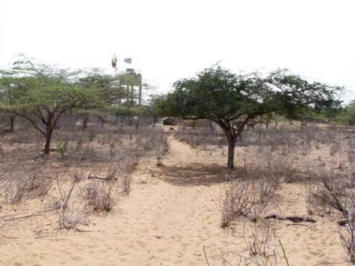 En Bolívar, ordenan activar planes de contingencia por temporada seca