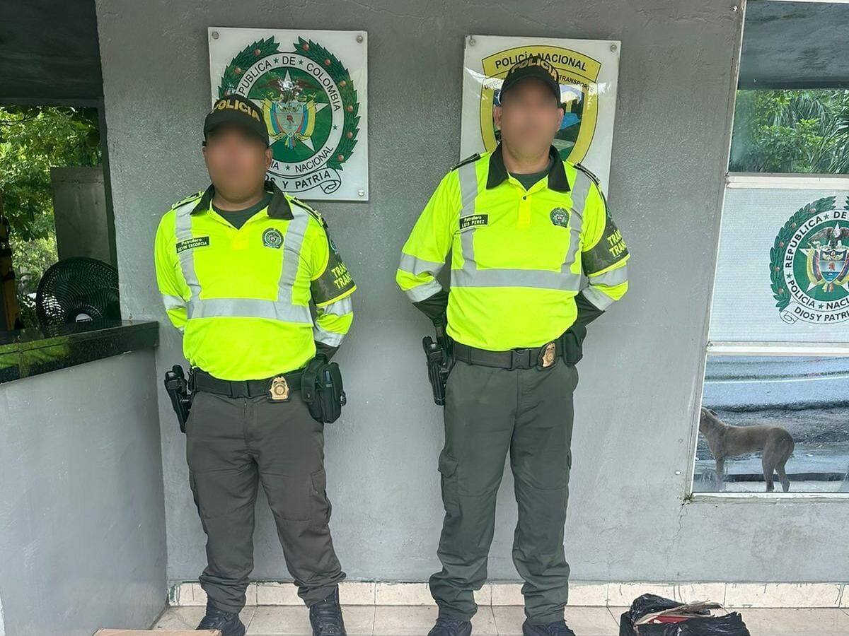 Incautaron droga camuflada como encomienda en empresa de mensajería en Bolívar