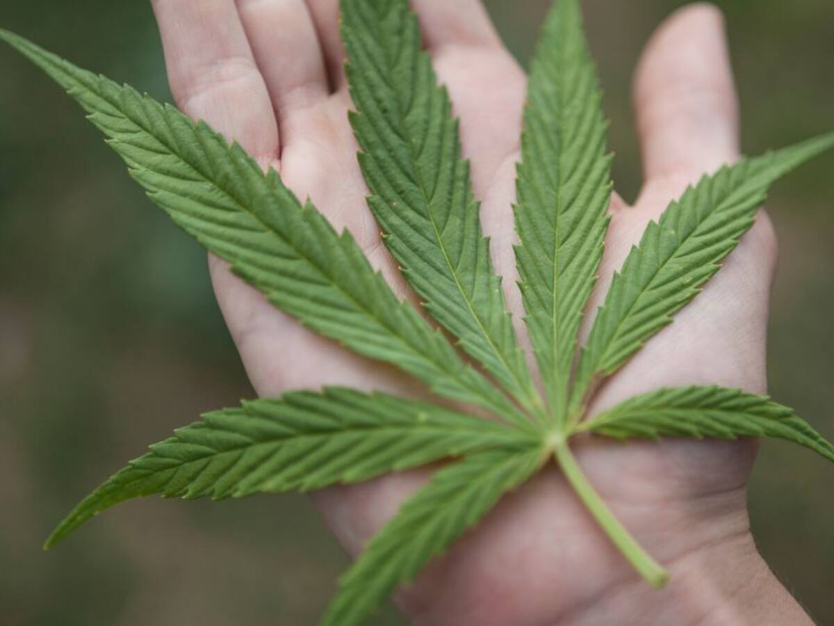 Abre la primera Clínica de Cannabis medicinal en el Caribe