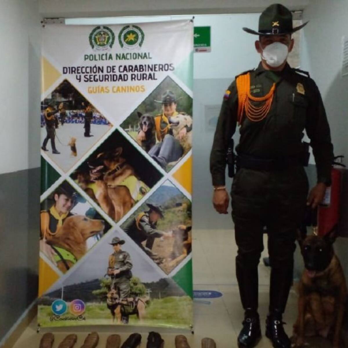 Policía incauta droga gracias al olfato de la canina África