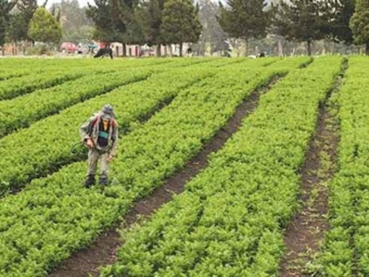 Juez da seis meses a implicados en AIS para estudiar pruebas en su contra