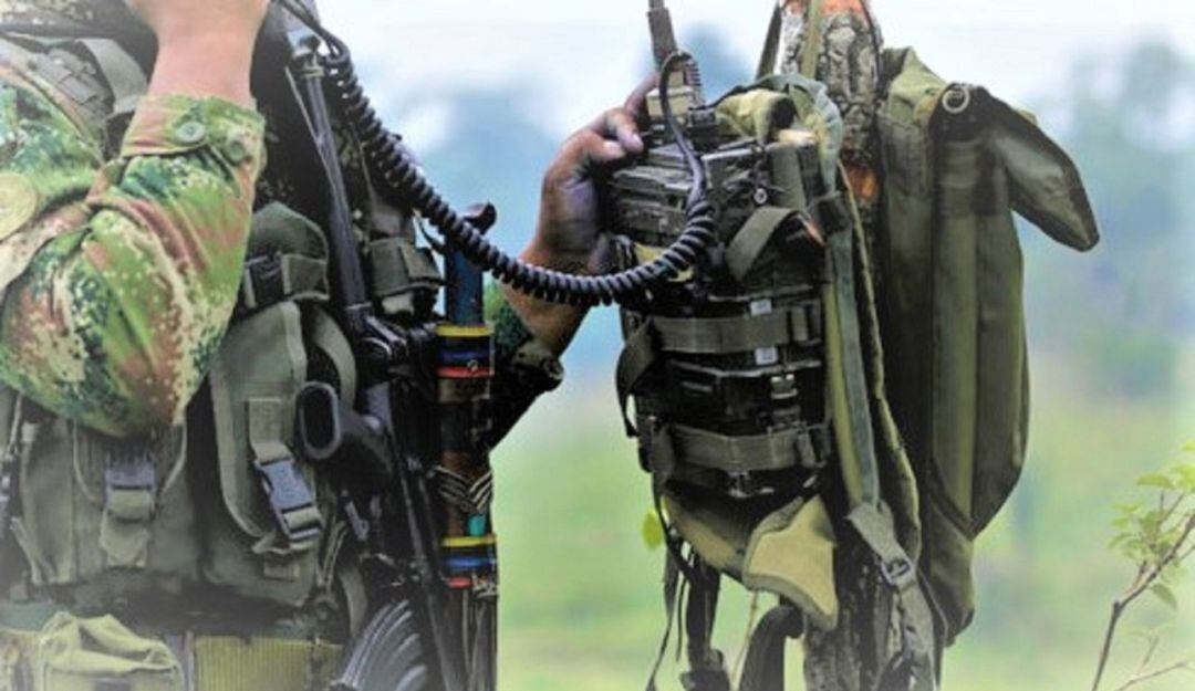 Imagen de referencia