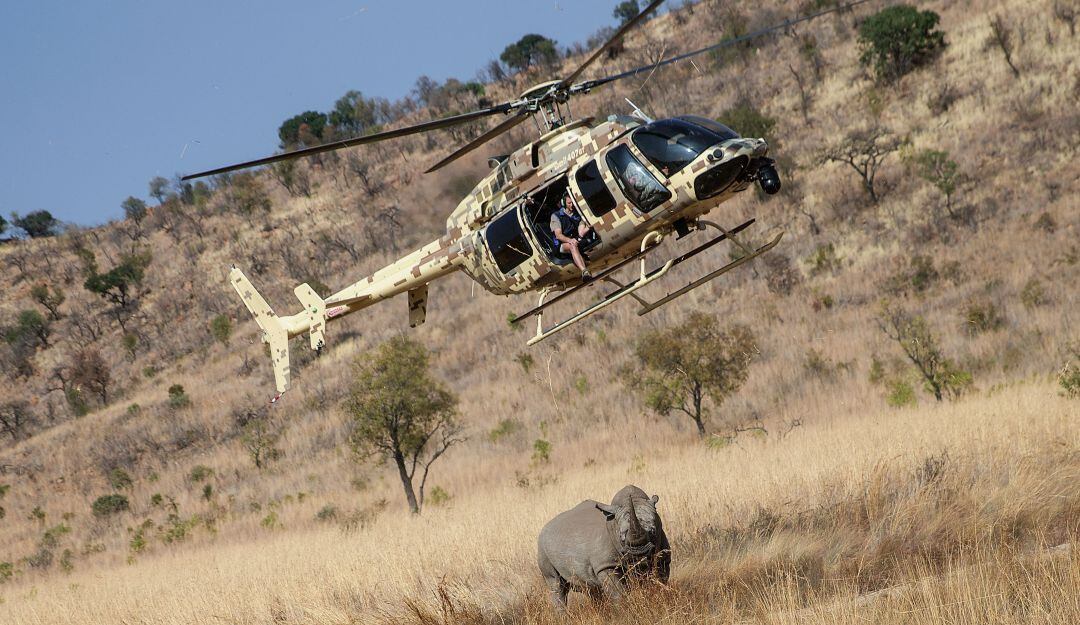Conservación de rinocerontes