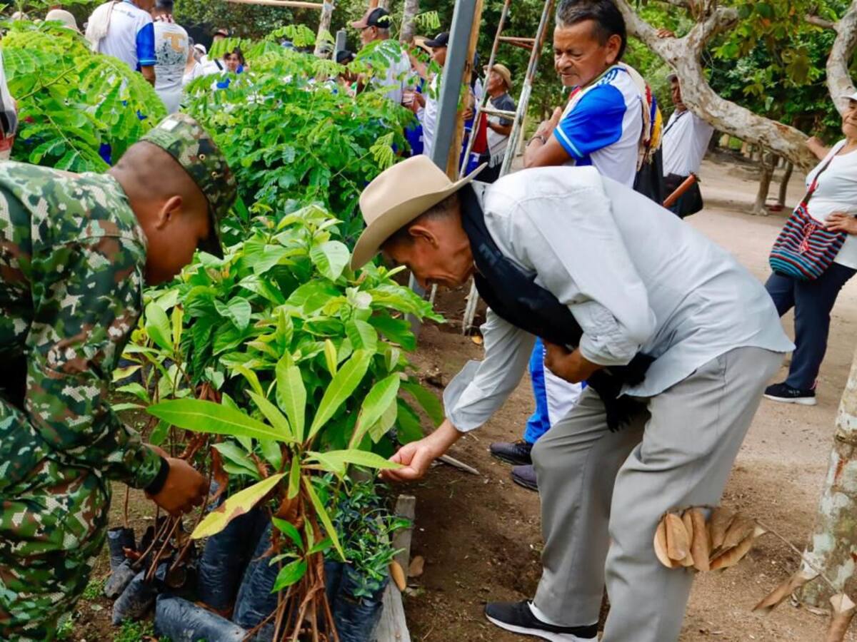 Ejército entregó huerta a Centro del Adulto Mayor en Santa Rosa, sur de Bolívar