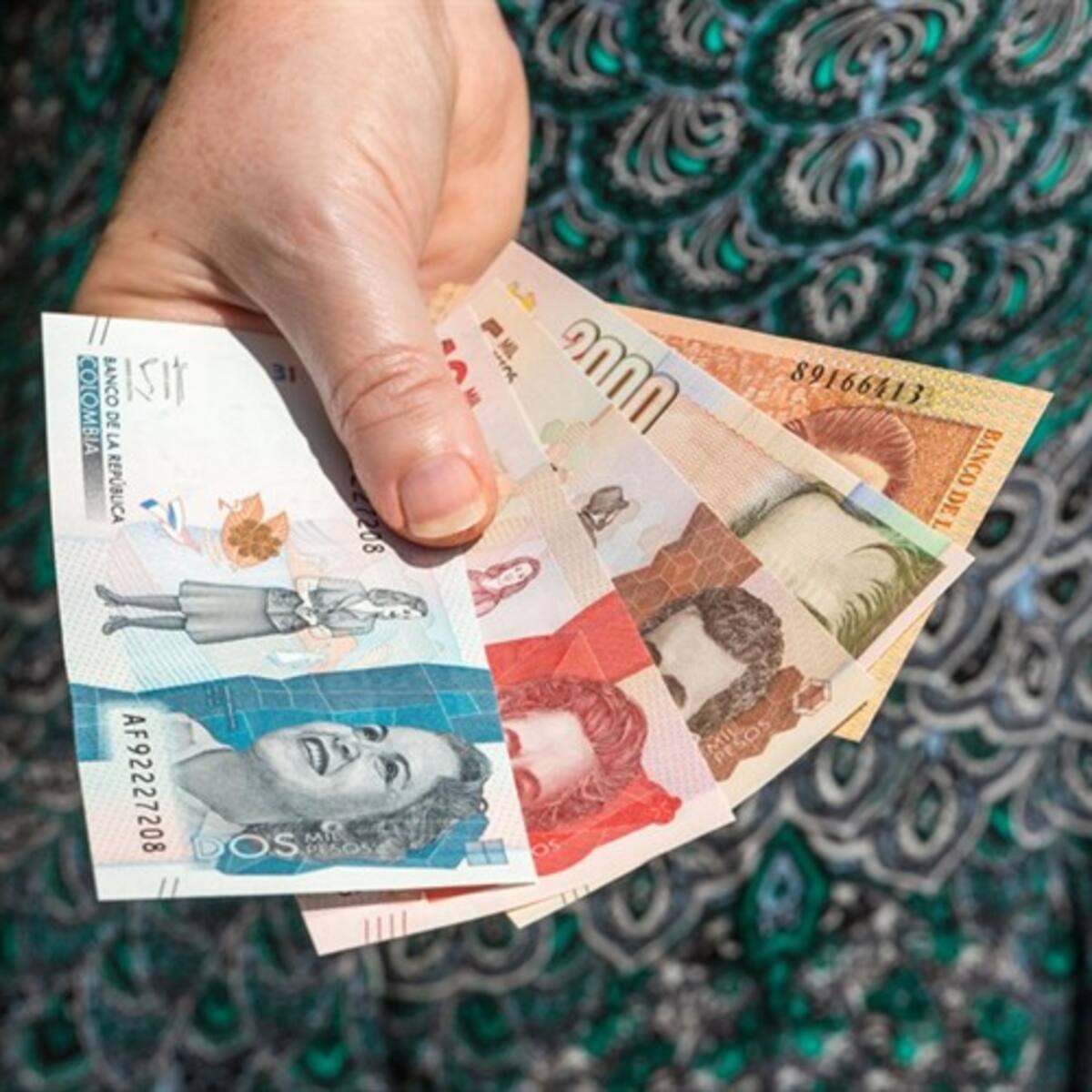 Más de 600.000 hogares recibirán el Ingreso Mínimo Garantizado durante diciembre