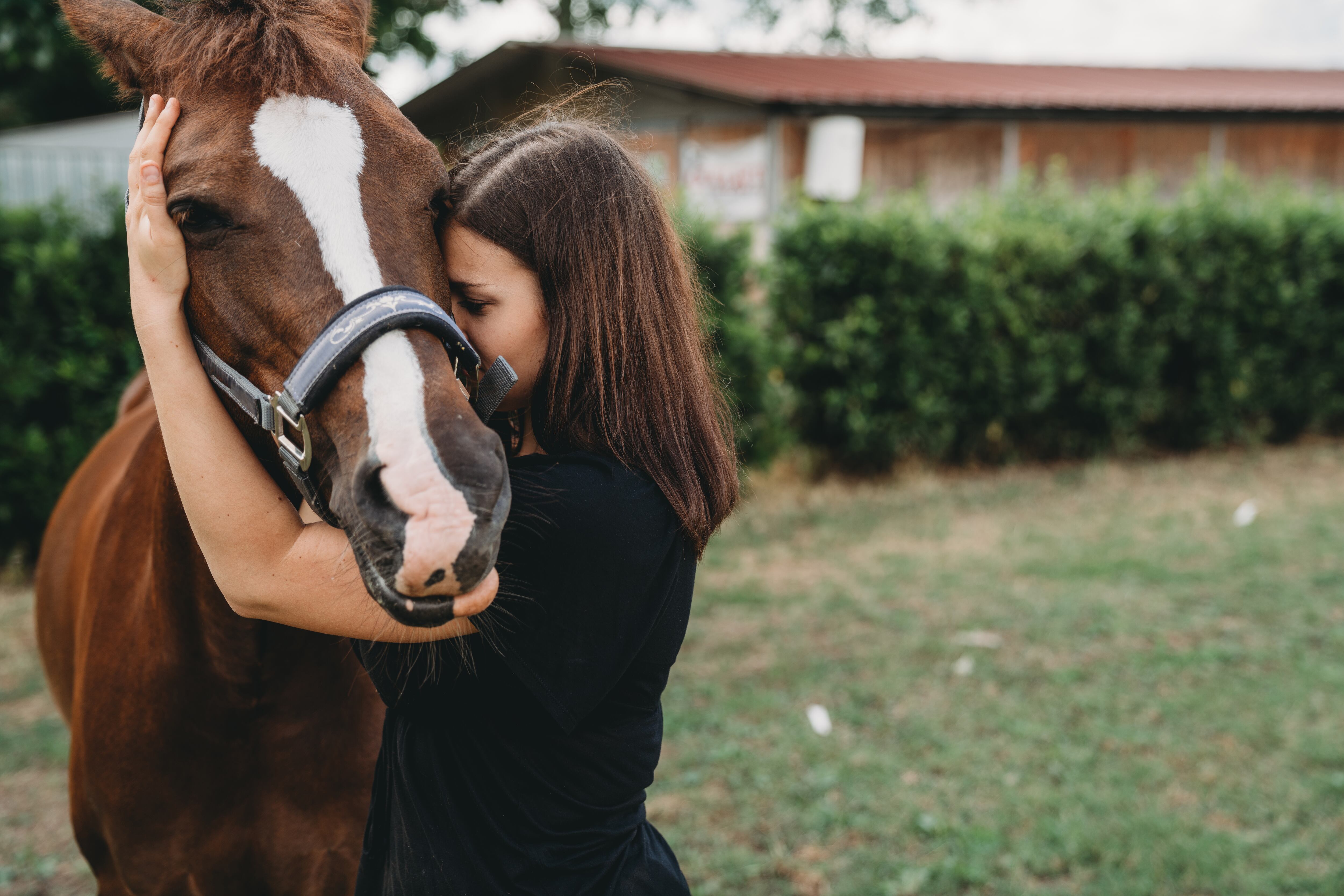 Mujer abrazando a un caballo (Foto vía Getty Images)