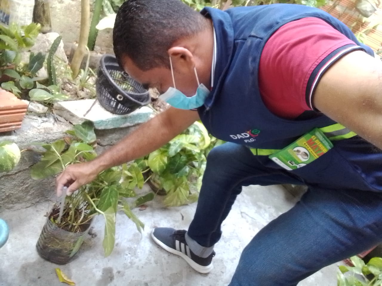 Alcaldía de Cartagena