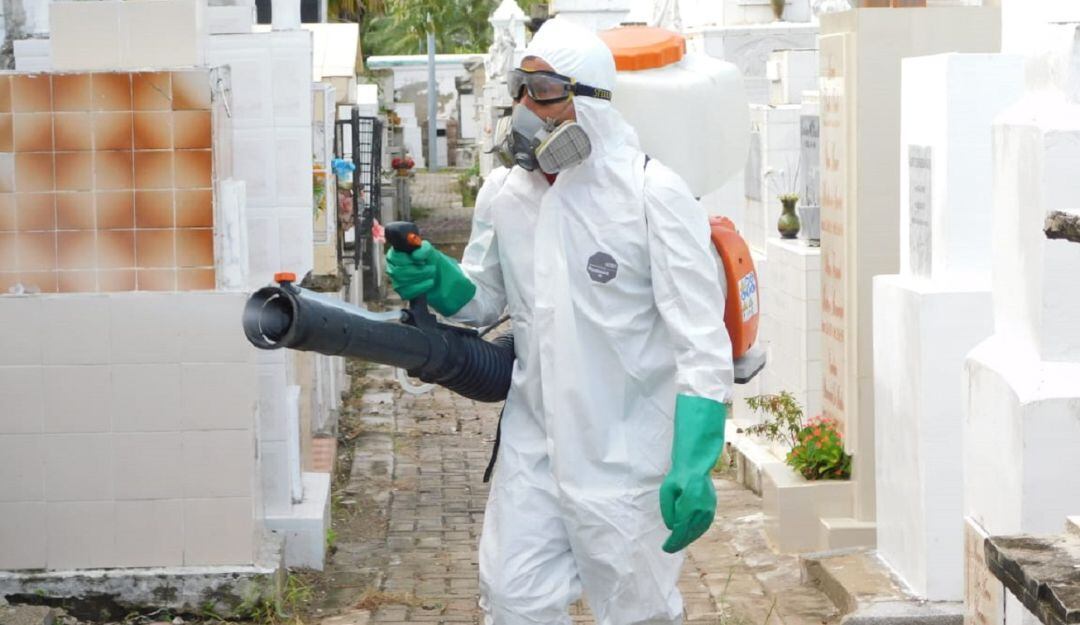 Los camposantos serán intervenidos para garantizar entornos seguros y controlar microorganismos, plagas y animales silvestres