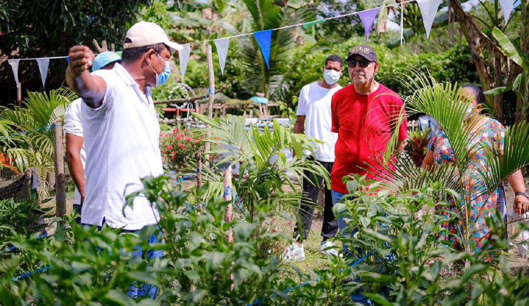 Esta iniciativa impactará en zonas como Nelson Mandela, Cerros de Albornoz, La María, Boquilla, Barú, Bayunca, Arroyo de las Canos, entre otros.