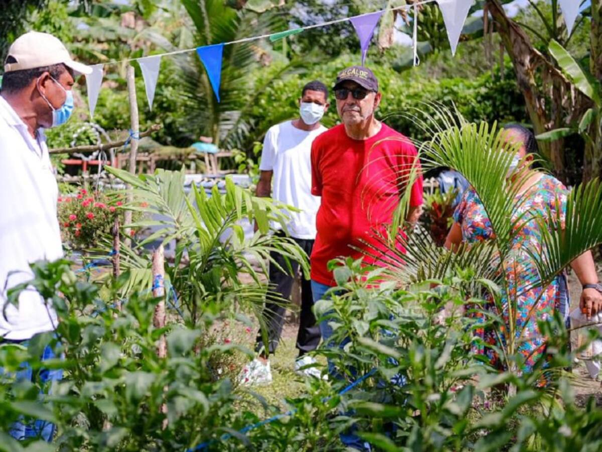 500 familias en pobreza extrema tendrán dotaciones para huertas productivas