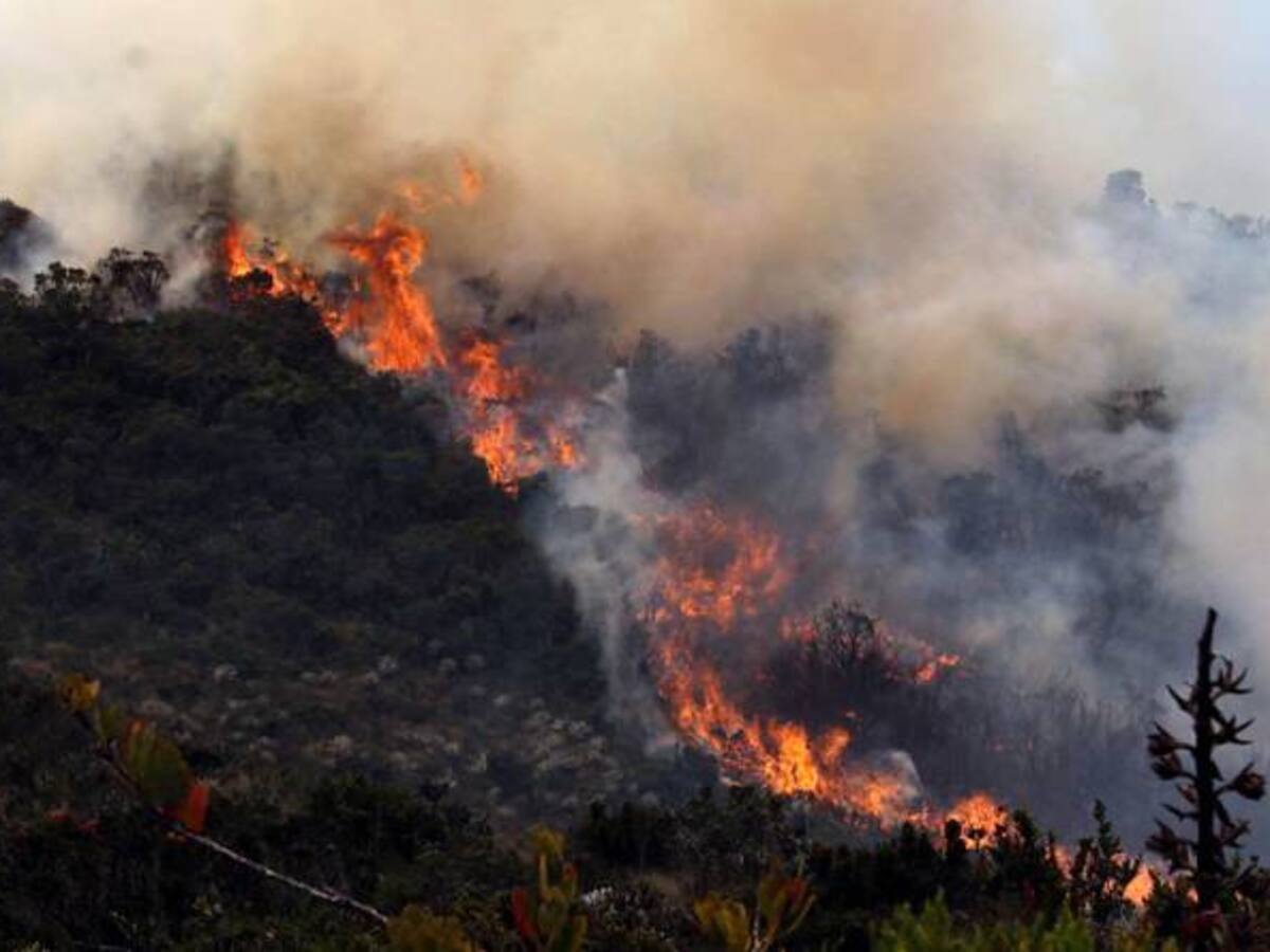 Procuraduría insiste en que se declare estado de emergencia ambiental por El Niño