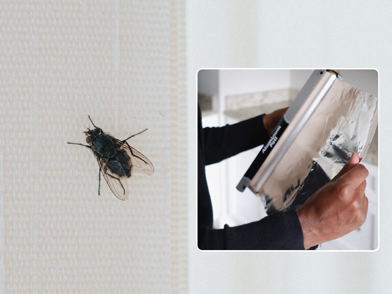 Mosca en una cortina / Persona desenvolviendo un rollo de papel aluminio (Getty Images)