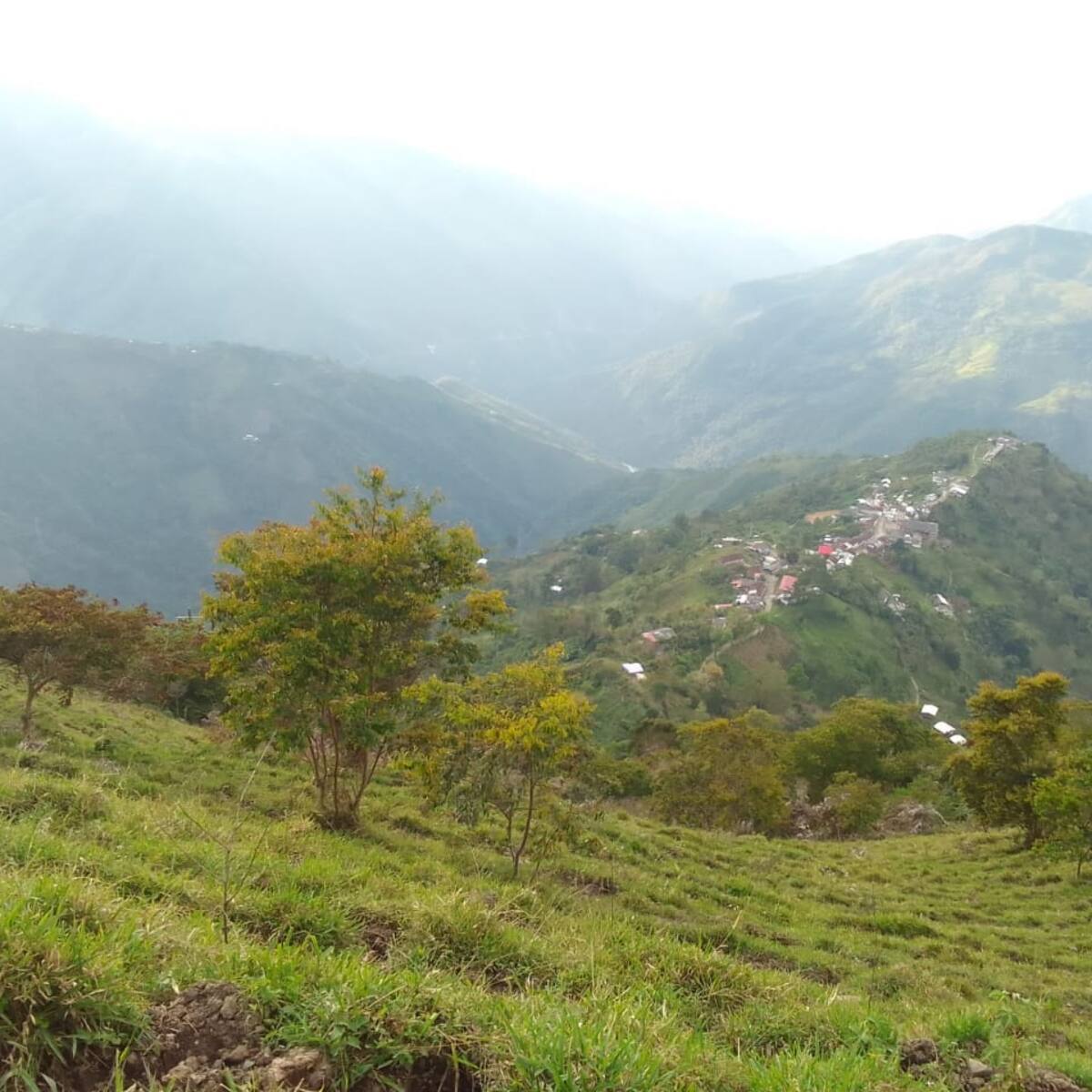 Gobernador de Antioquia solicita urgente presencia del Ejército en zona rural de Yarumal