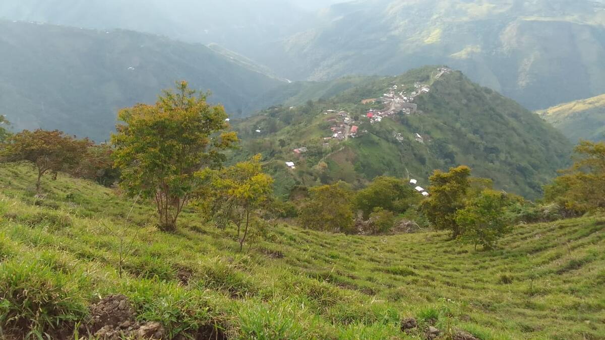 Gobernador de Antioquia solicita urgente presencia del Ejército en zona rural de Yarumal