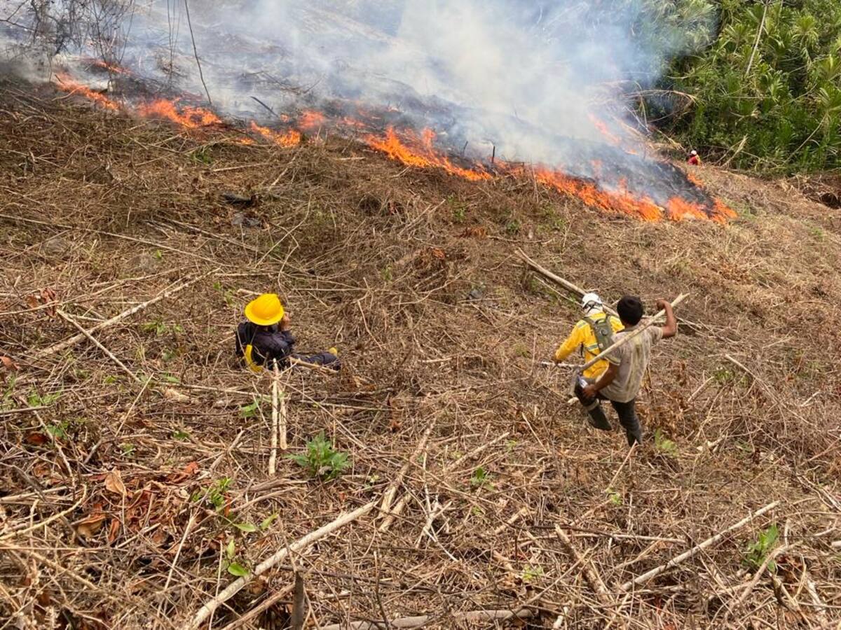 En Génova, Quindío, capturaron un hombre que al parecer provocó un incendio forestal