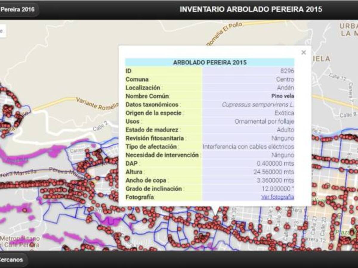 Los árboles en Pereira tienen cédula digital