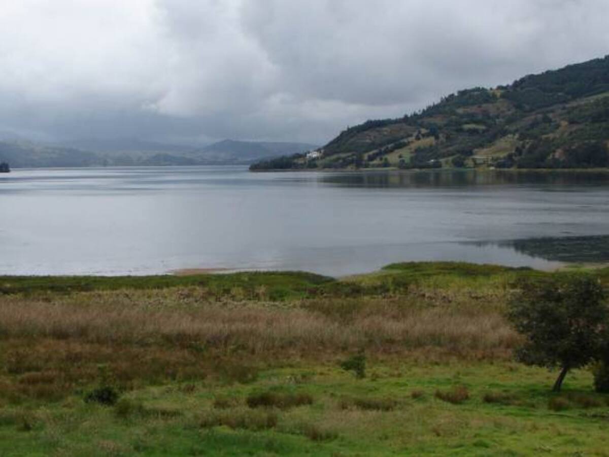 El lago de Tota está en riesgo por culpa de fertilizantes