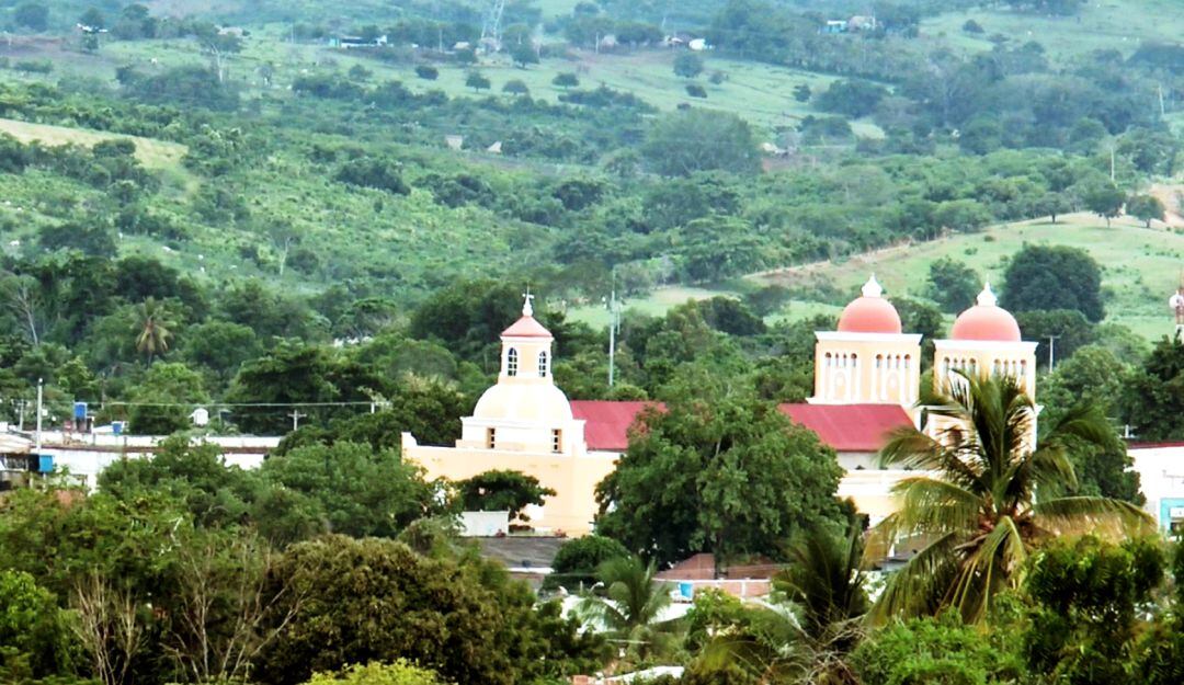 Francisco José Vega Arrauth