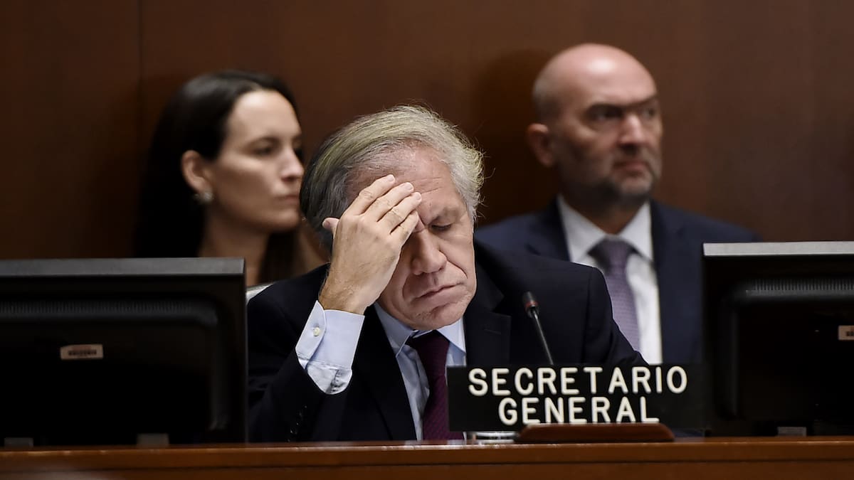 Luis Almagro bajo investigación en OEA por sostener un romance con una subordinada