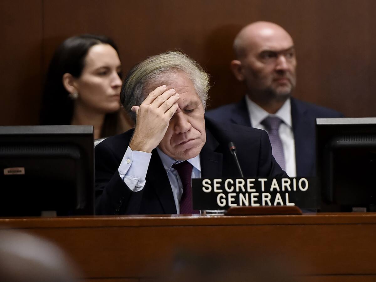 Luis Almagro bajo investigación en OEA por sostener un romance con una subordinada