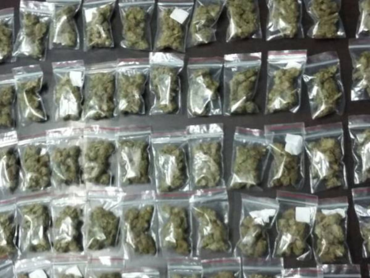 Policía de Manizales reporta incautaciones por tráfico de drogas