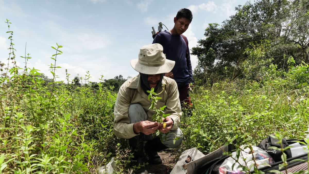 La expedición Bio Guaviare logró documentar 1.600 especies endémicas