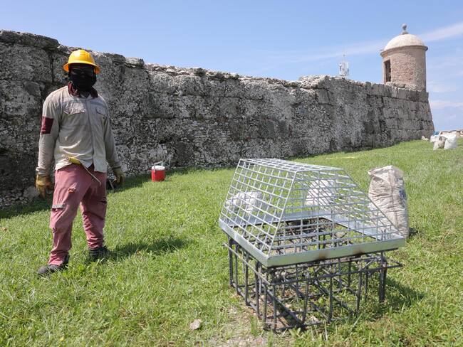 Alcaldía de Cartagena