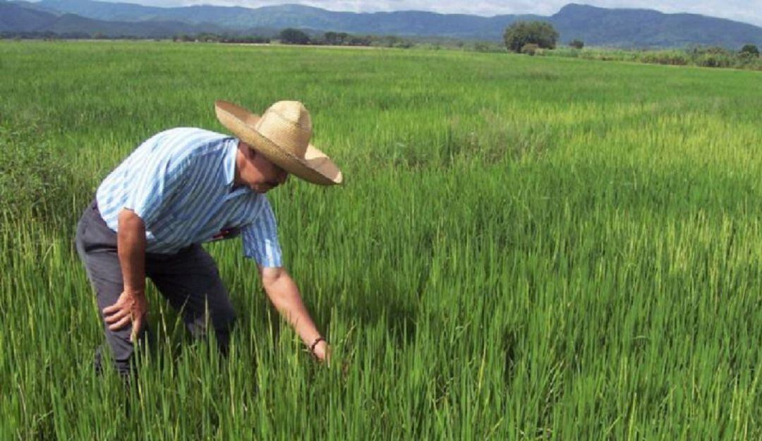 Usosaldaña tiene a 1.660 asociados.