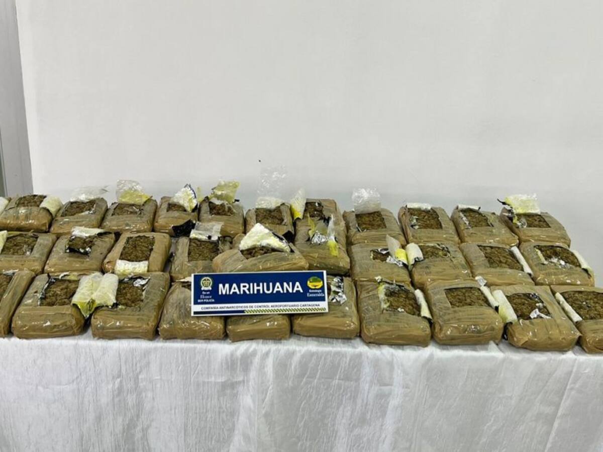 Incautan 19 kilos de marihuana en bodega del aeropuerto de Cartagena