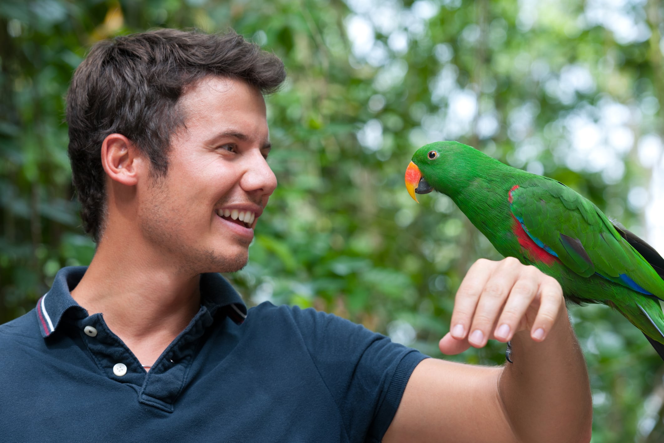 Loro hablando con un hombre. Foto: Getty Images.