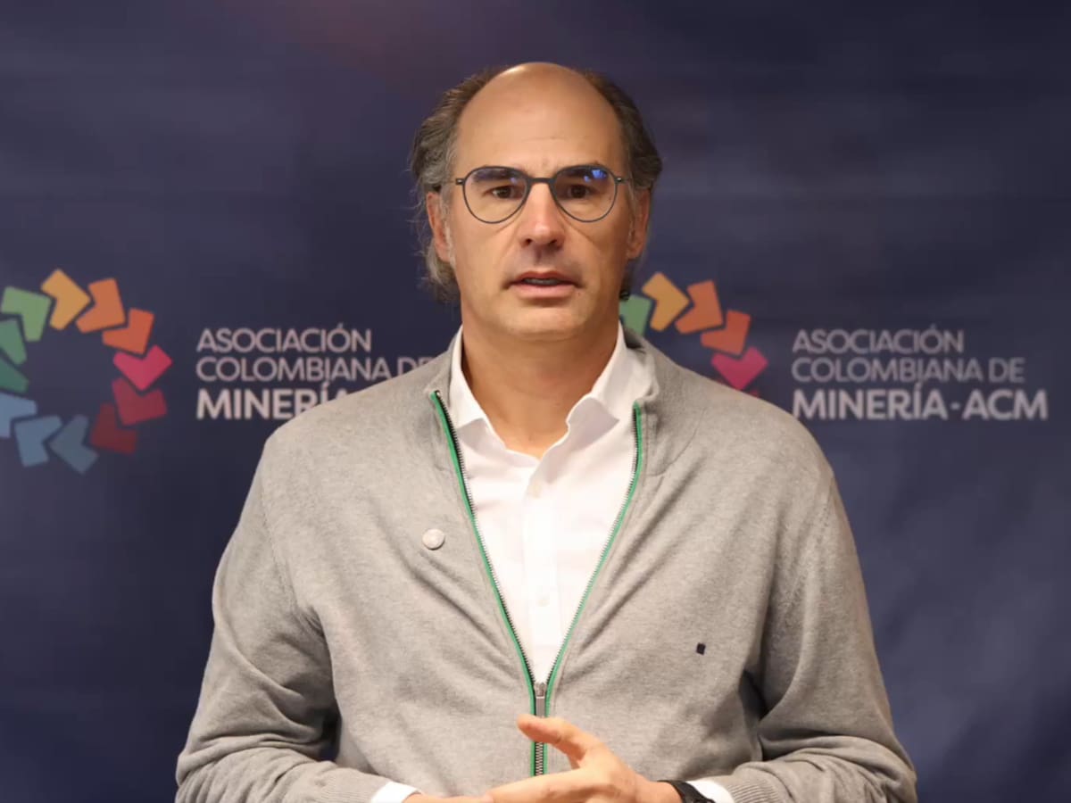 Inversión extranjera es el pulmón que permite crecer: presidente de Asociación Colombiana de Minería