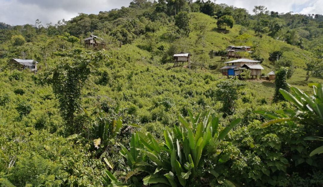En la última semana indígenas del municipio de Murindó y Dabeiba han sido victimas del explosivo