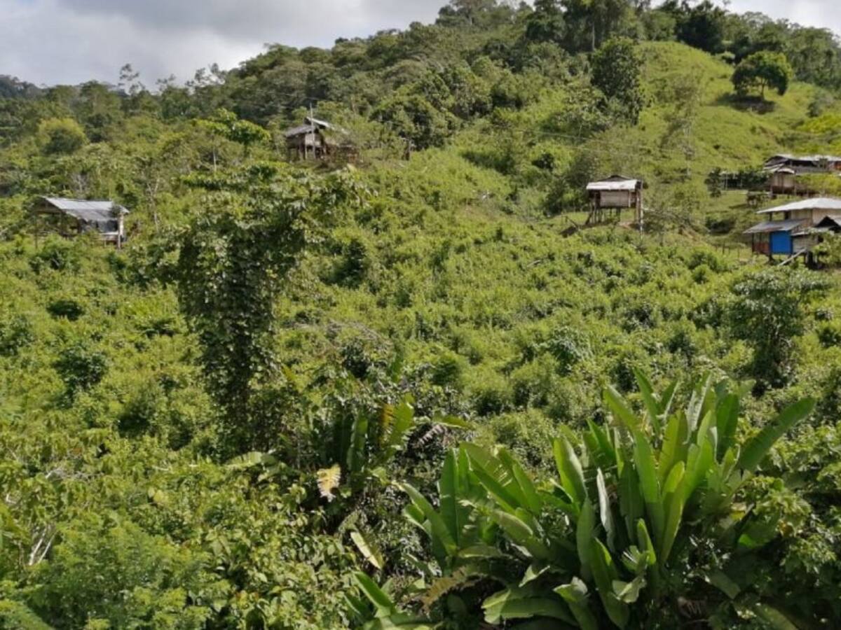 Defensoría del Pueblo rechazó tragedia por mina antipersonal en Antioquia