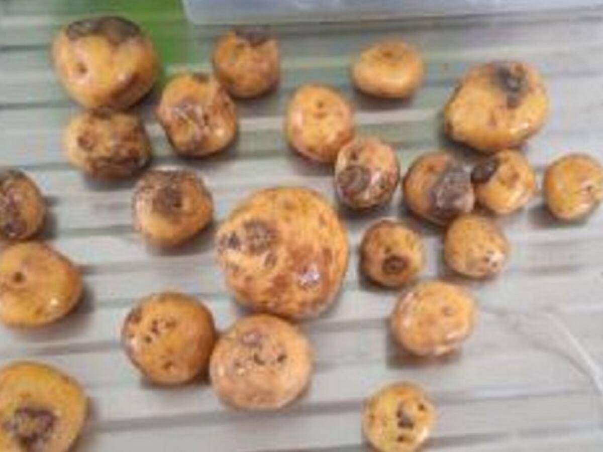Incumplimientos en entrega de PAE, mayor preocupación en Quindío