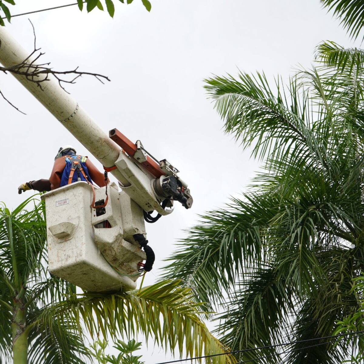 ¿Vive en Malambo, Atlántico? Tome nota de los barrios sin energía HOY domingo 23 de noviembre