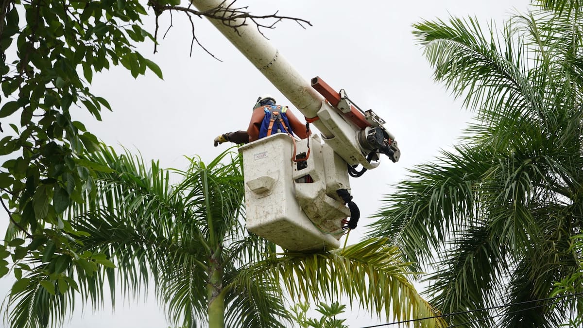 ¿Dónde se va la luz HOY 22 de octubre en Barranquilla?: tome nota